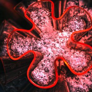 Red Outline with snow_Anita Preece